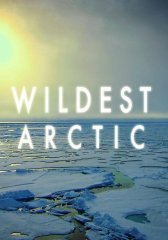 Суровая Арктика