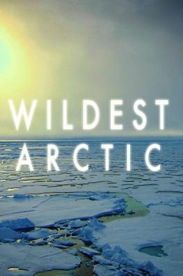 Суровая Арктика